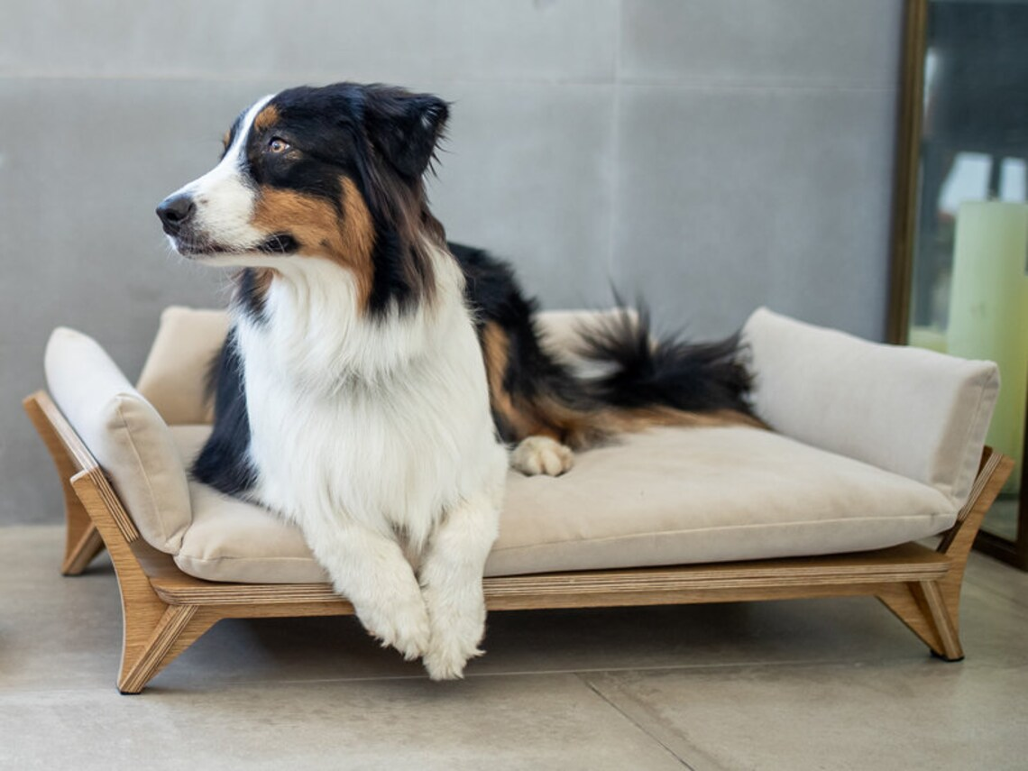 Dog bed