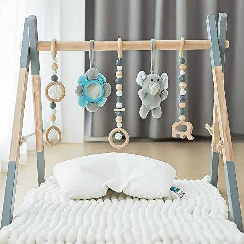 Baby Play Gym