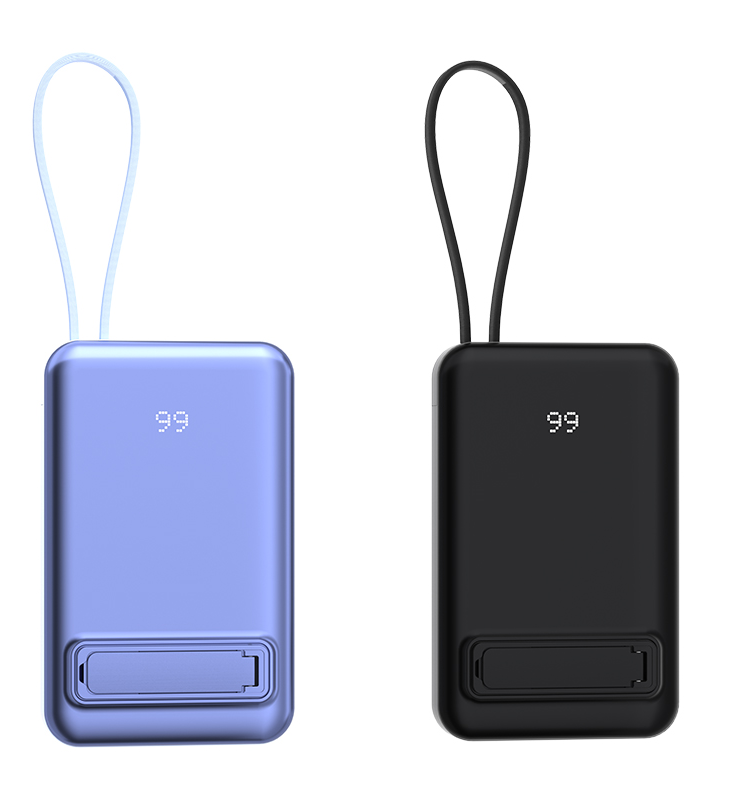 Lithium Polymer Battery