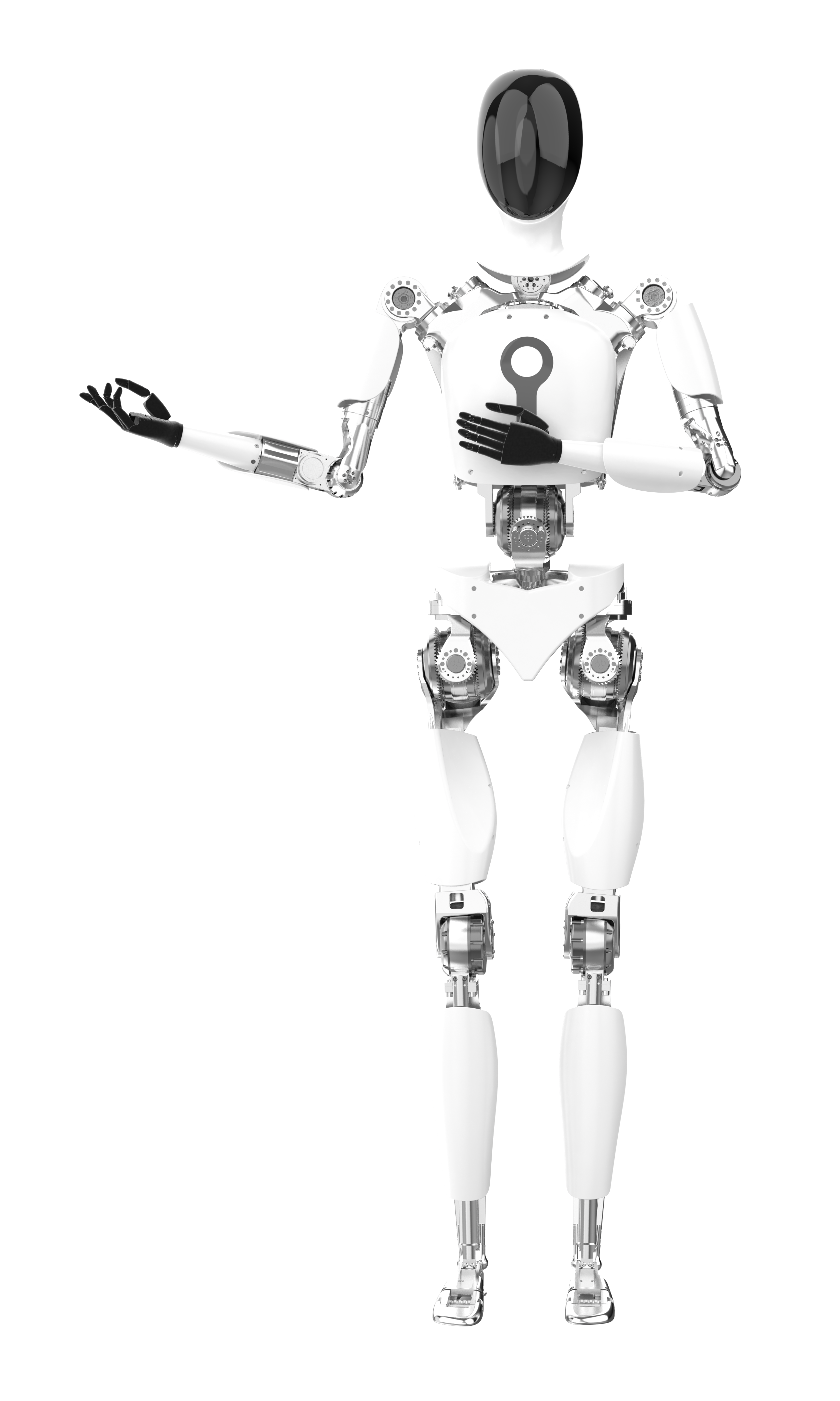Humanoid Robot
