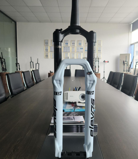 SHEN ZHEN LIZHIXIN TECHNOLOGYCO.,LTD. – cadena de bicicleta 1