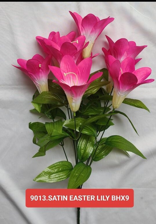 Rose bhx24