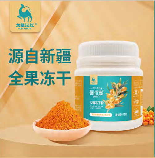 XinjiangGobiMemoryBrandManagementCo.,Ltd – raqueta de tenis 2
