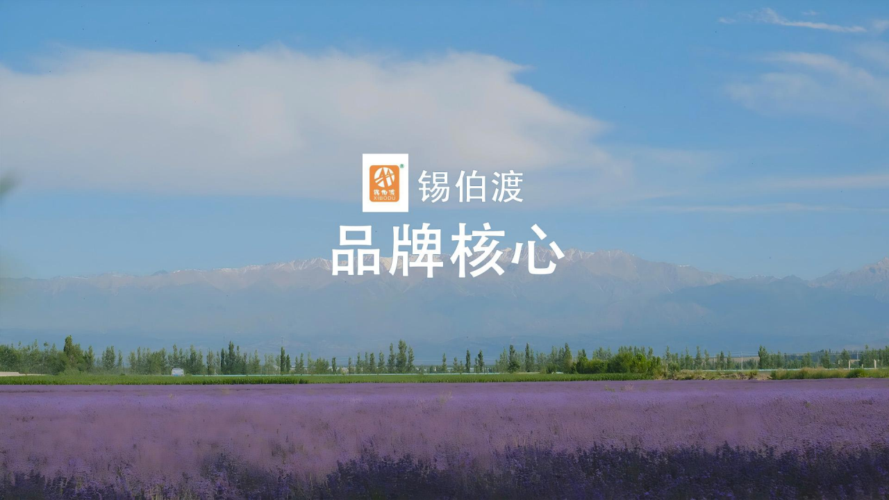 Xinjiang Beitun Land Port International Trade Co., LTD