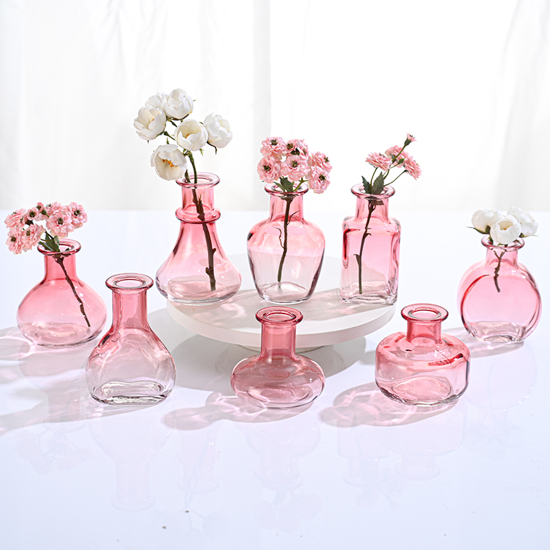 Shandong Boygarden Houseware Manufacture Co.,ltd – portarretrato 3