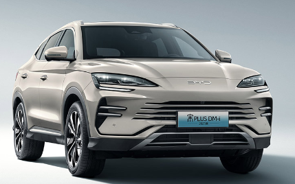 SHANGHAI KIWI AUTO SALES AND SERVICE CO., LTD – llanta de caucho 2