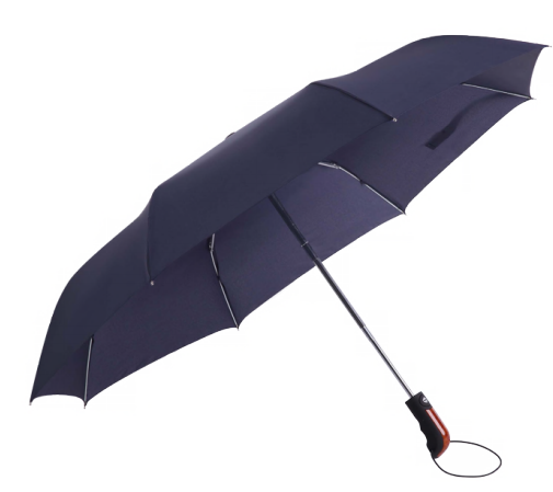 Black Umbrella