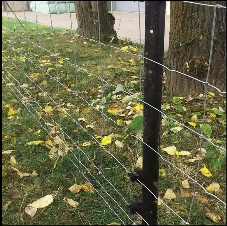 Cattle Fence