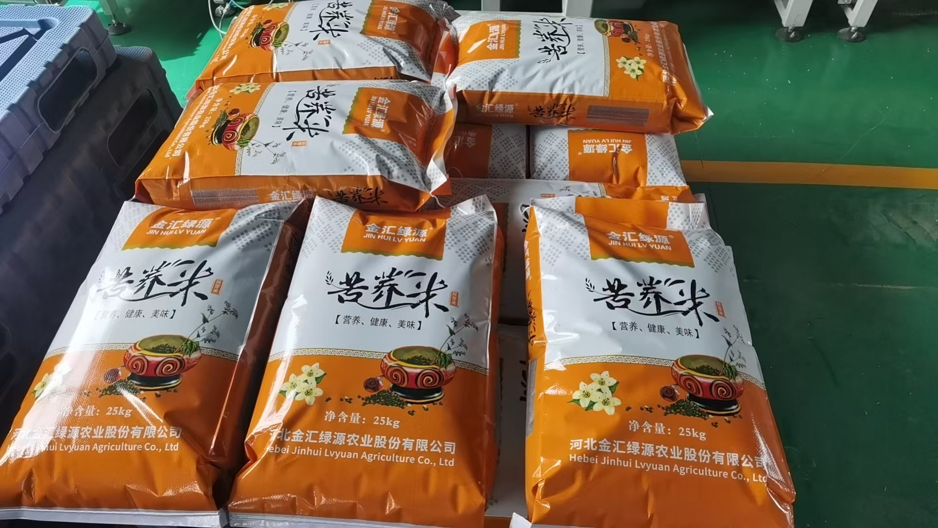 Jinhui Lvyuan Agricultural Technology Co., Ltd – colchoneta de yoga 4