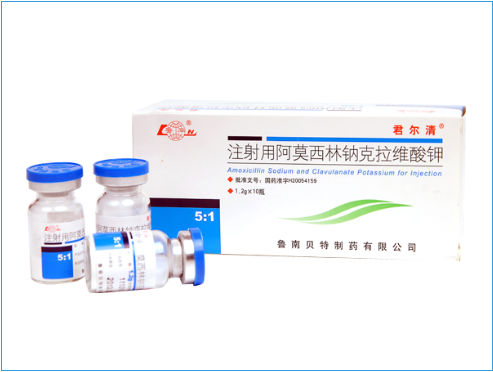Amoxicllin And Potassium Clavulanate