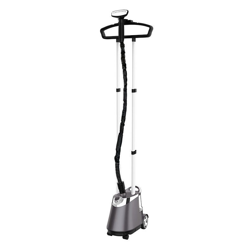 Steam iron