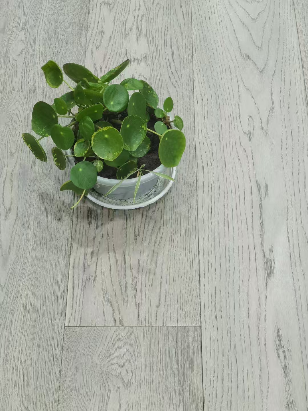 Solid engineered wood floor