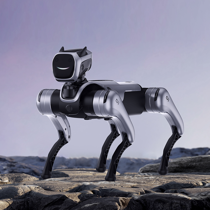 Bionic Quadruped Robot