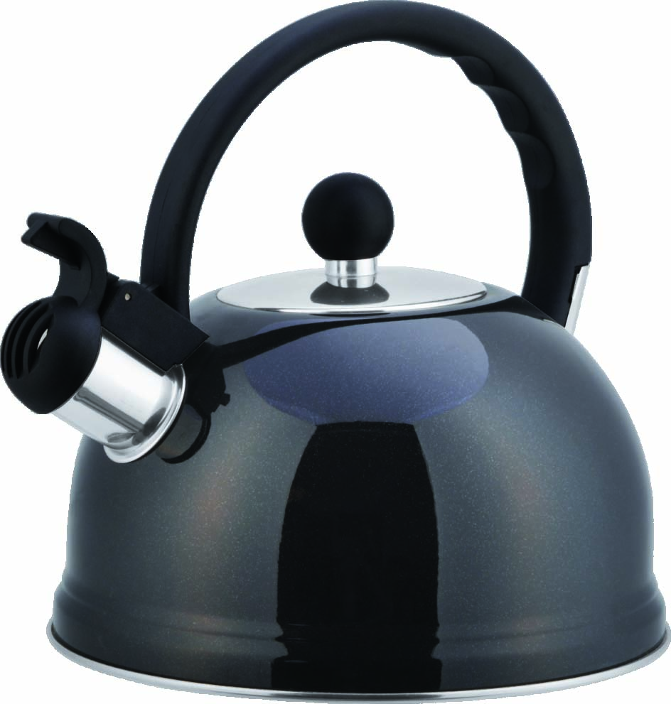 Woohao Hot sell fashion tea pot whistling kettle