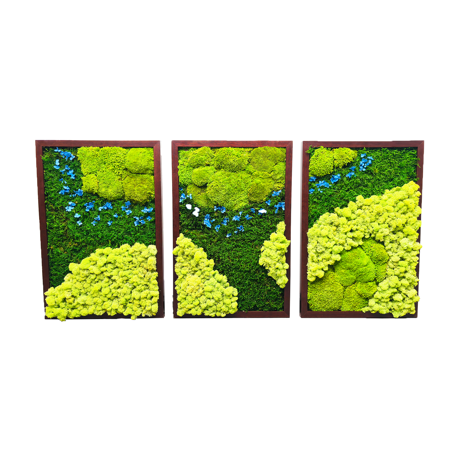 Yunnan Funcy Trade Co., Ltd – caja de regalo 4