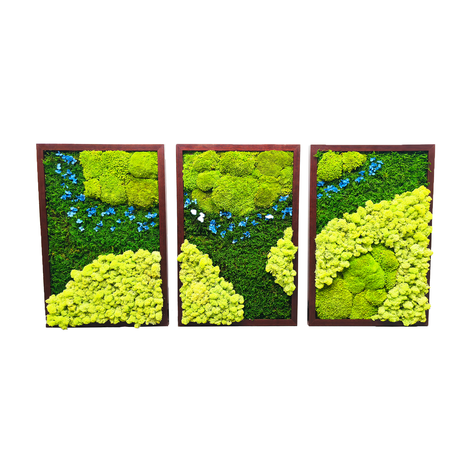 Yunnan Funcy Trade Co., Ltd – portarretrato 3