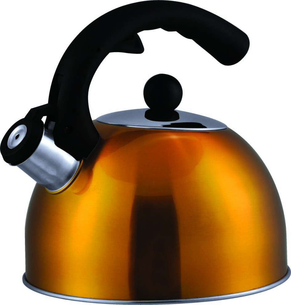 WooHao Colorful handle whistling coffee pot kettle unique pattern