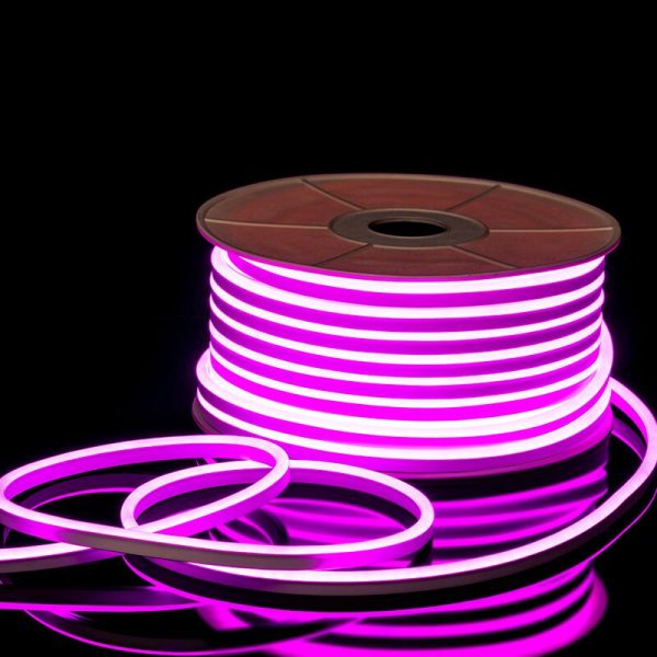 LED Strips neon 12V/24V