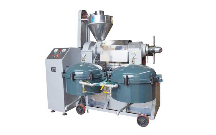 WENZHOU XINOR MACHINERY CO.,LTD – molde de inyección 1