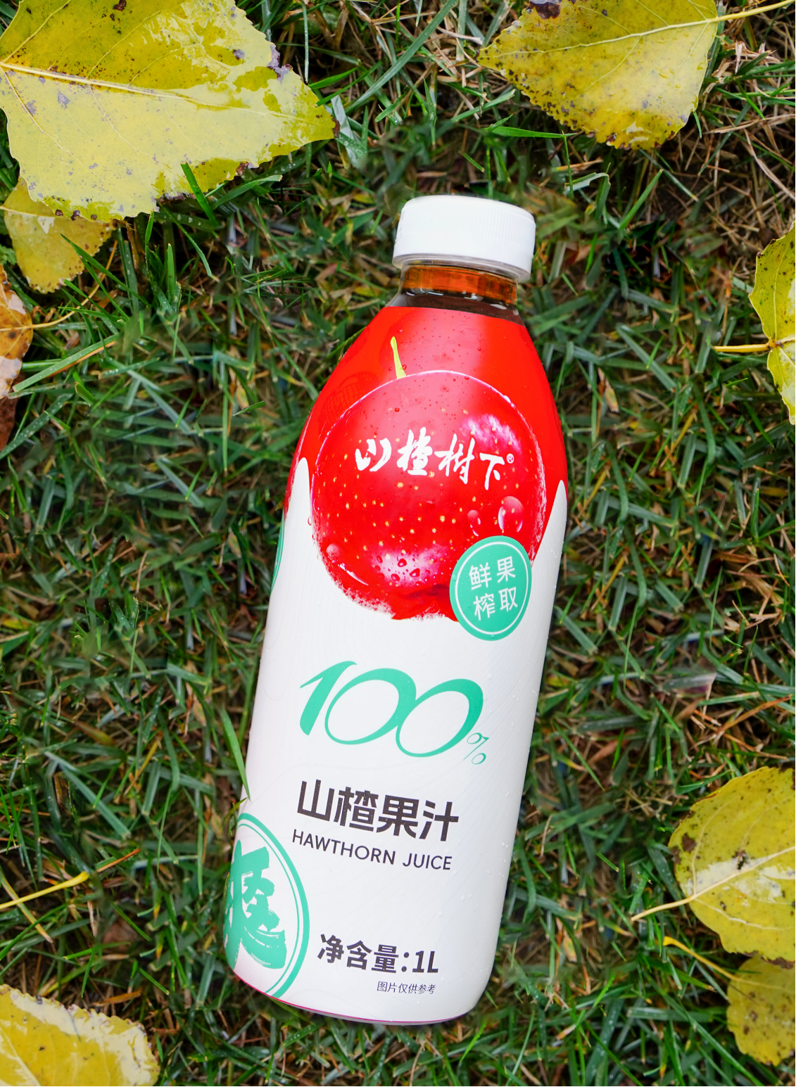 Tianjin Guanfang juice Co., Ltd – Fruit and vegetable juice 2