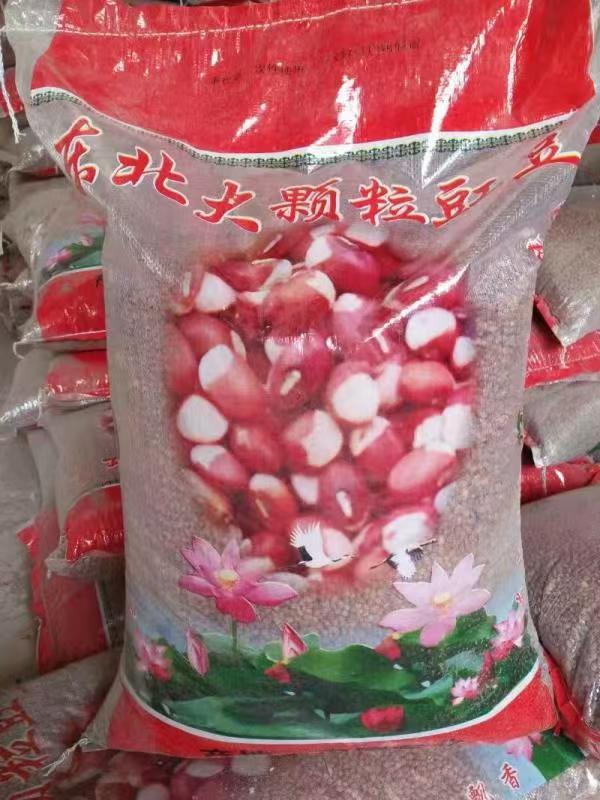 Taonan Baoquan Agricultral and Sideline Products Processing Co.,Ltd – raqueta de tenis 2