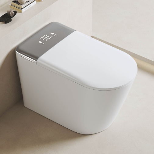 HSJAA Smart Toilet S11