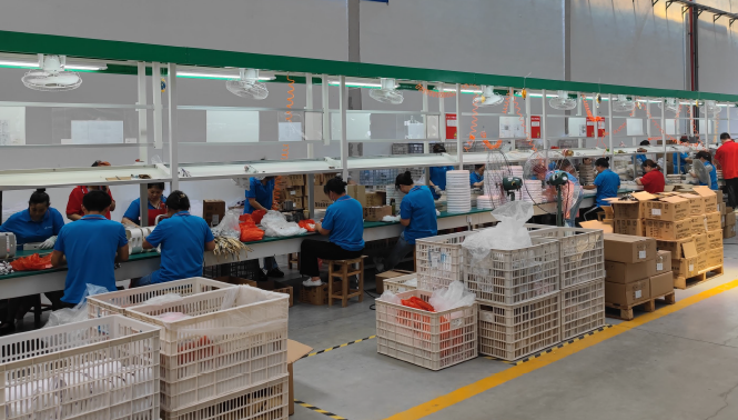 Shanghai Xiaozhenzhу Electrical Appliances Co., Ltd. – fully automatic washing machine 2