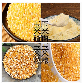 Liaoning Zhaixiang Ecological Agriculture Co.,Ltd. – raqueta de tenis 2