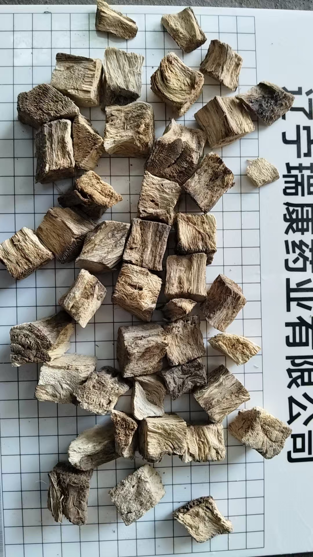 Liaoning Ruikang Pharmaceutical Co., LTD – bicicleta de montaña 3