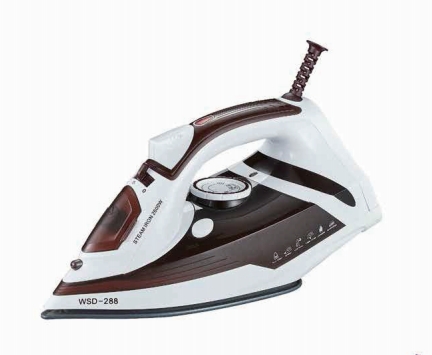 Steam iron