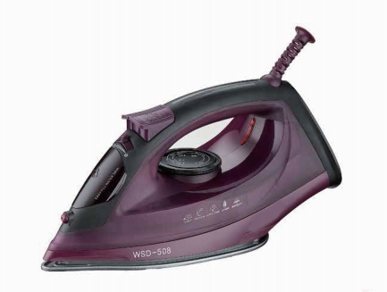 Steam iron