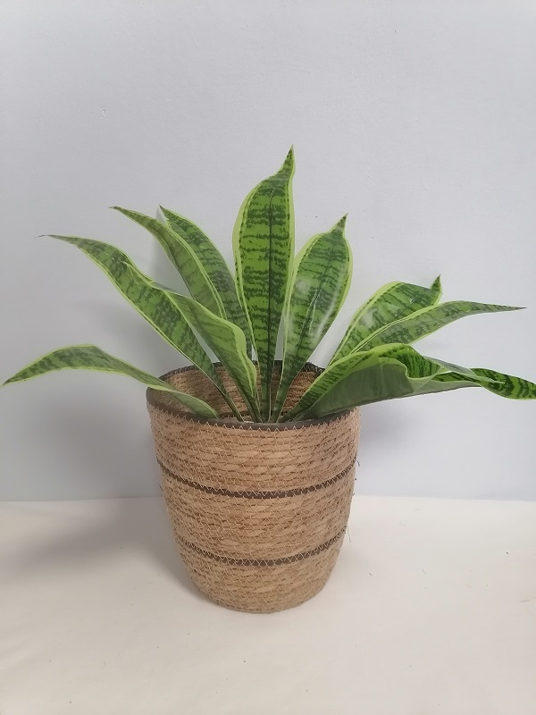 Garden basket