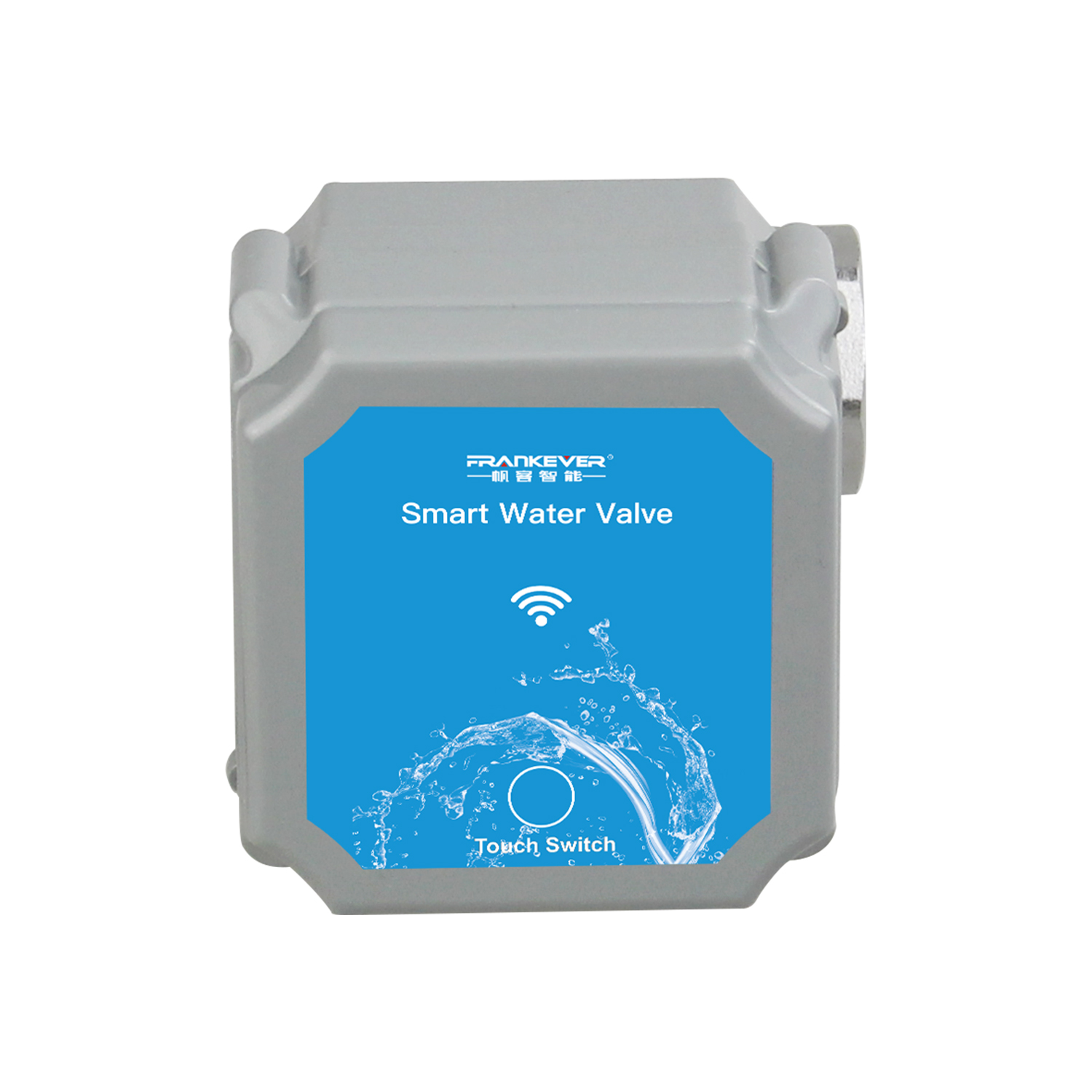 smart water valve
