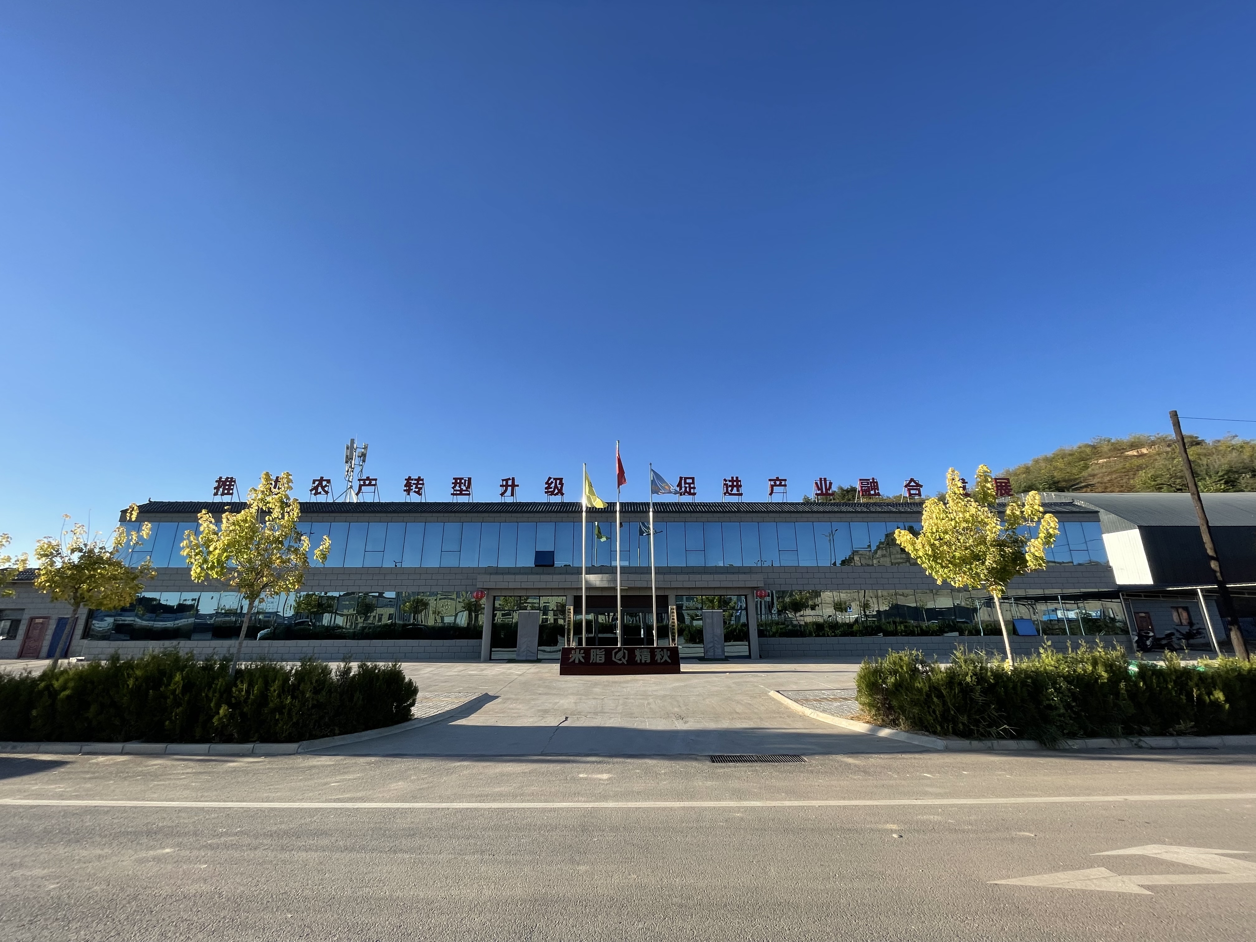 Mizhi Jingqiu Agricultural Products Development Co., Ltd. – Dehydrated fruits and vegetables 1