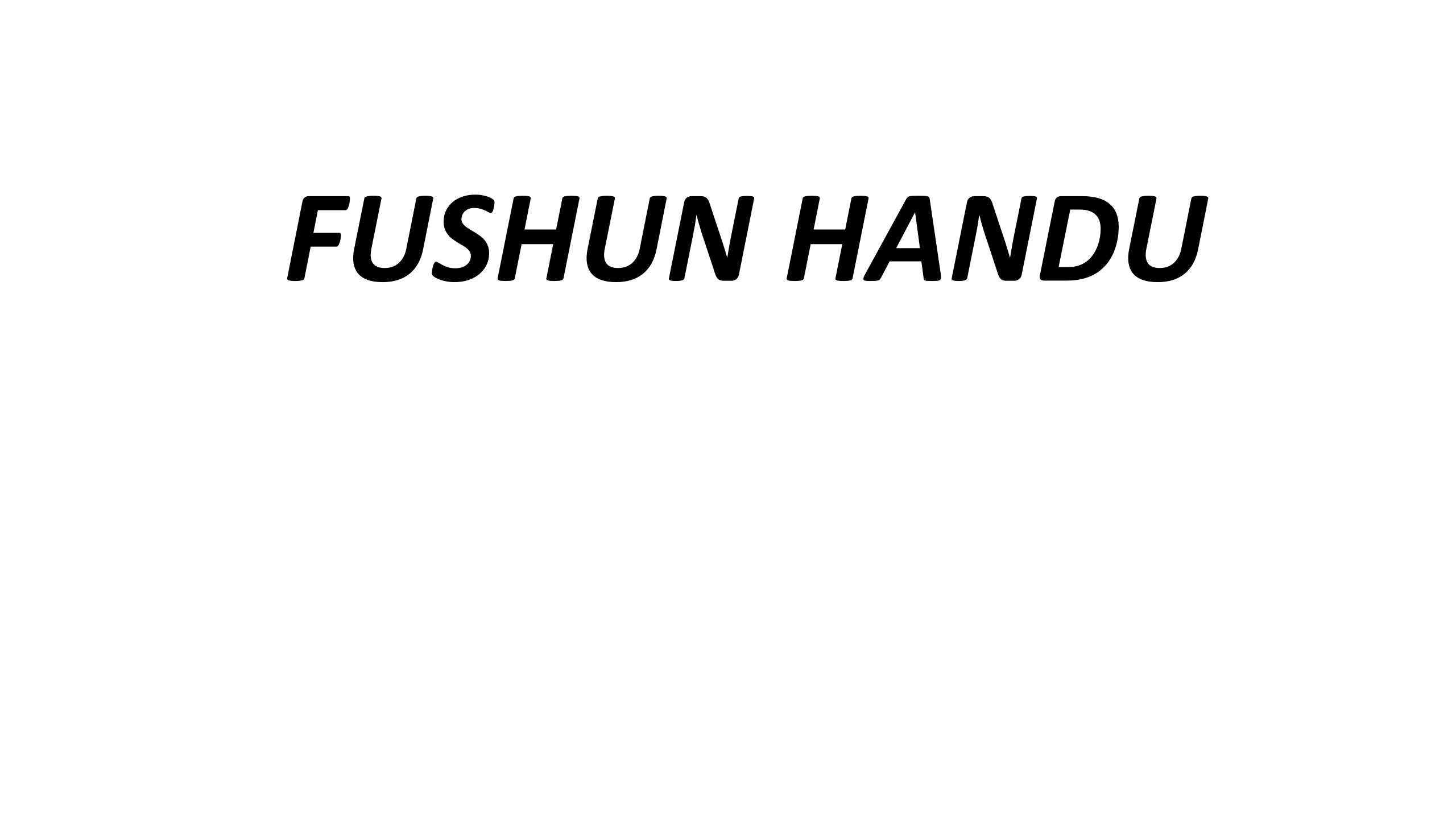 Fushun Handu Import and Export Co., Ltd.