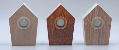 Bird Sing Box