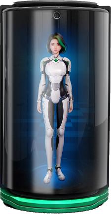 Virtual Companion Robot