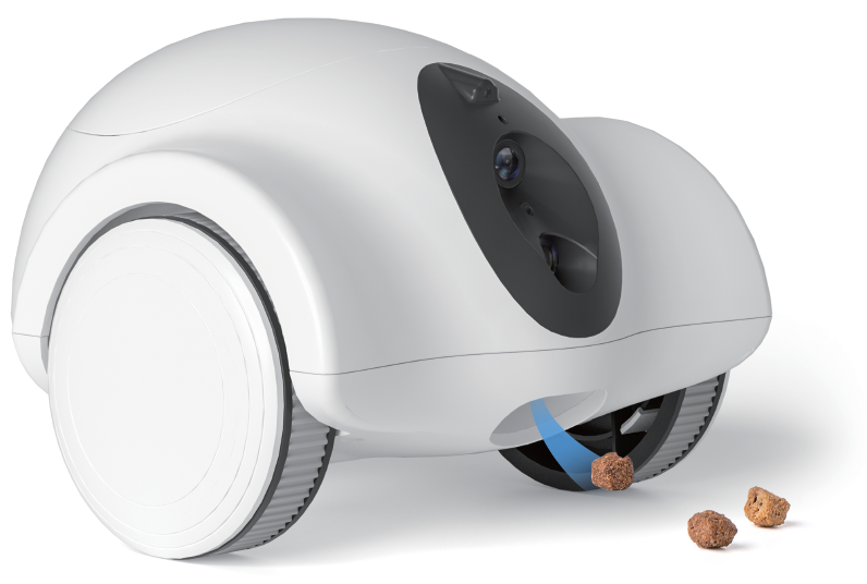Pet Companion Robot
