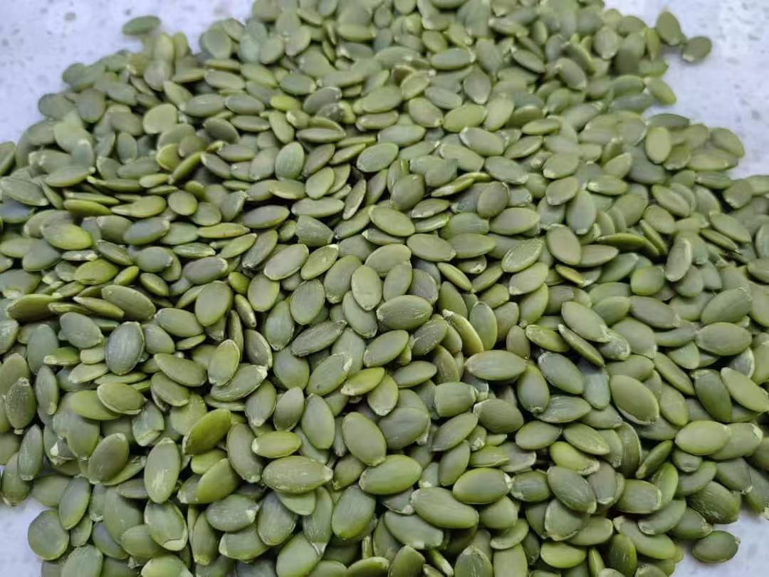 PUMPkin kernel/Inner Mongolia Origin