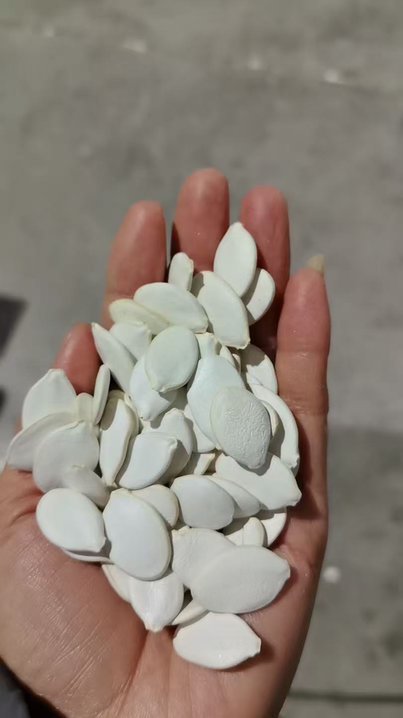 Pumpin Seeds/Inner Mongolia Origin