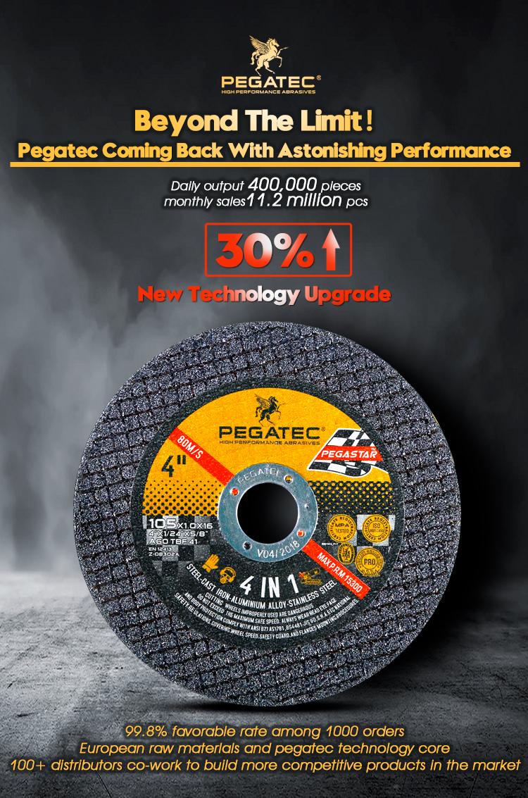 Sanya Pegatec Abrasives CO.,LTD. – Manufacturers 3