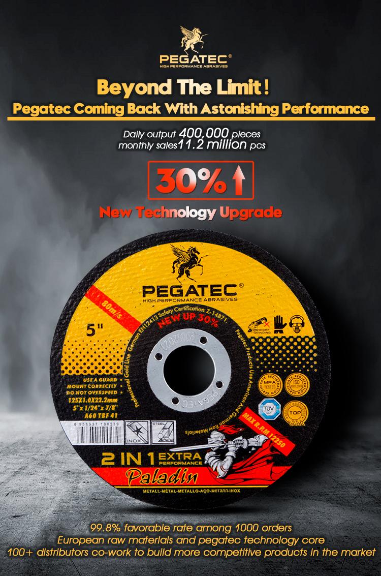 Sanya Pegatec Abrasives CO.,LTD. – Distributors 2