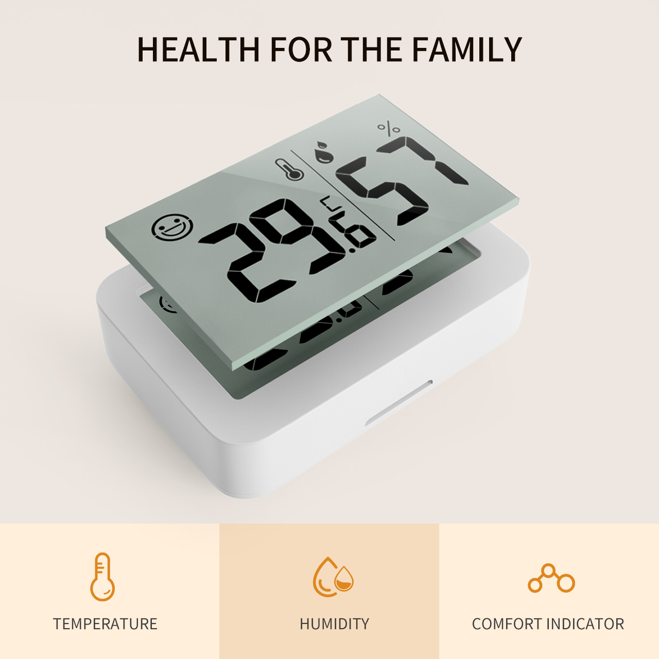 Mini Thermo-Hygrometer