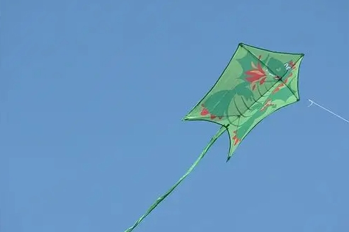 kite