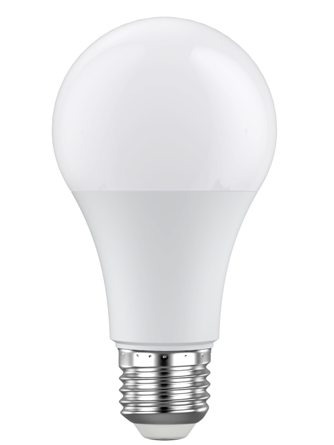 A60 LED Bulbs