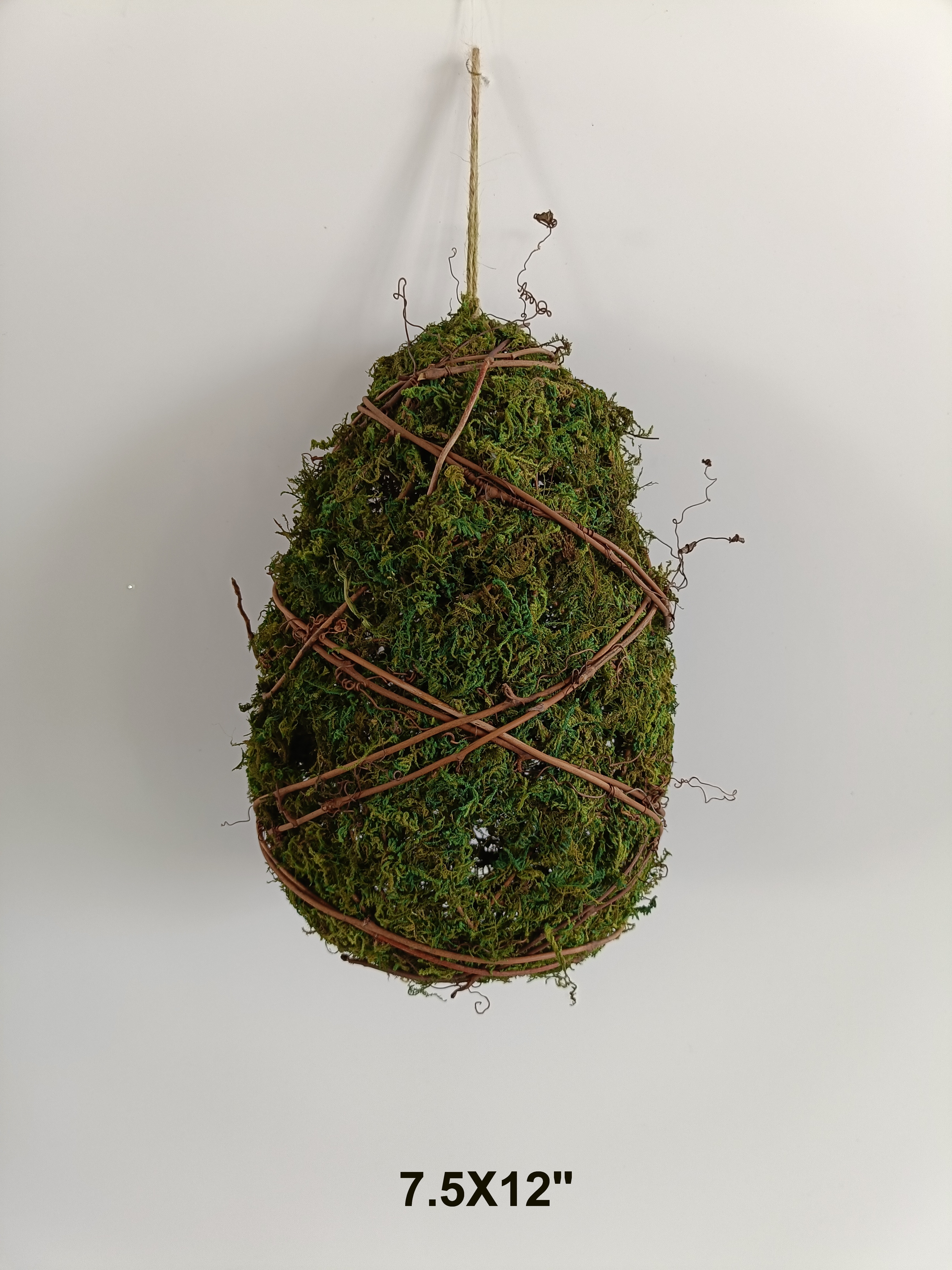 Egg
