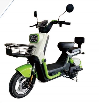 Adult Electric bike
