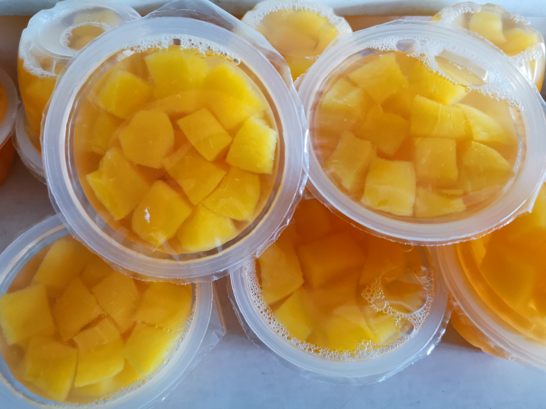 Fruit Cup