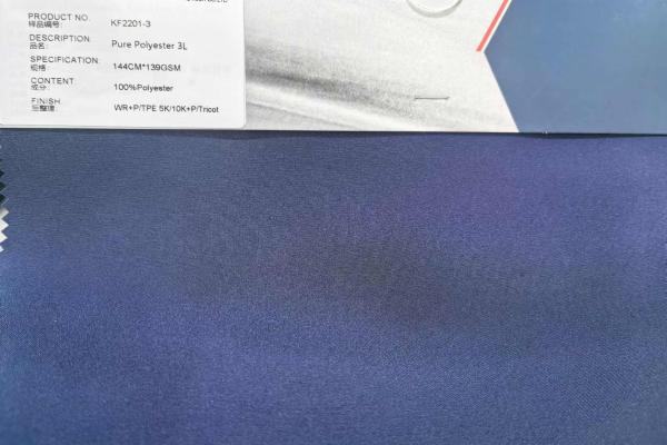 Changshu zhongzhou Textiles Co., Ltd. – vestido de noche 3