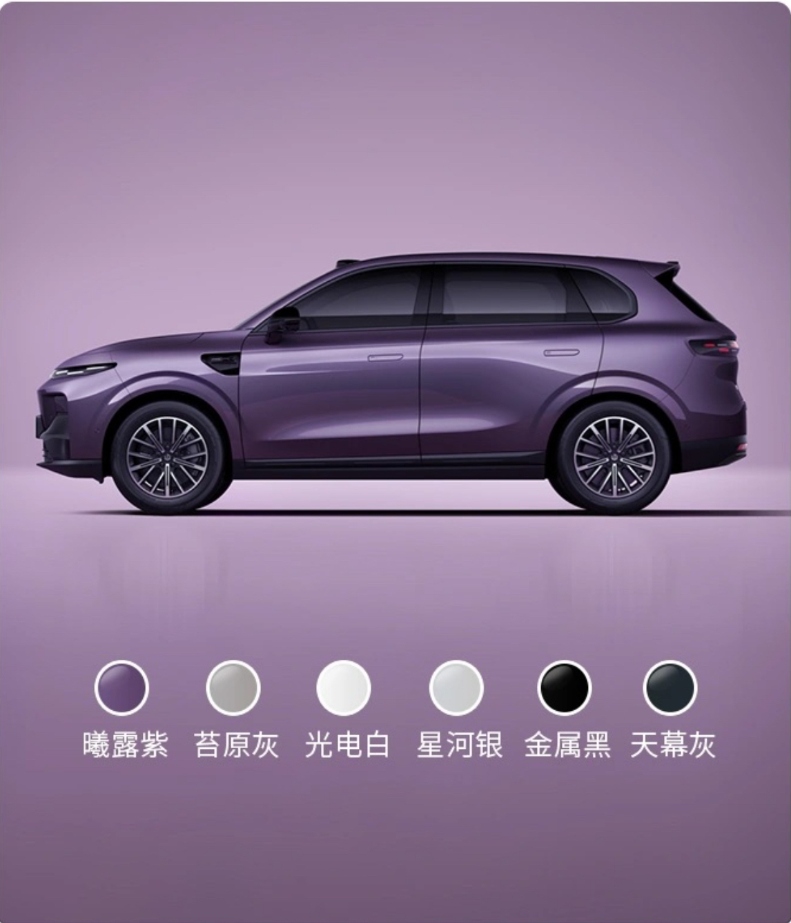 Licheng International Trading Co.,Ltd – manubrio de aluminio 3